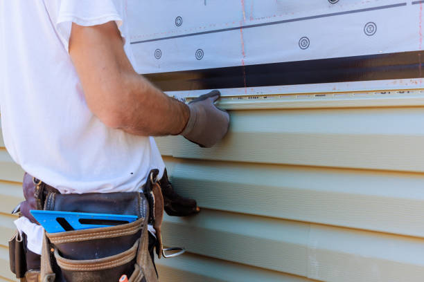 Best Custom Siding Design  in Terra Alta, WV